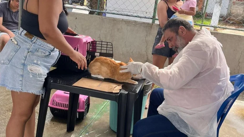 Ação Gratuita de Saúde Animal em Maceió Beneficia Mais de 140 Pets e Seus Tutores
