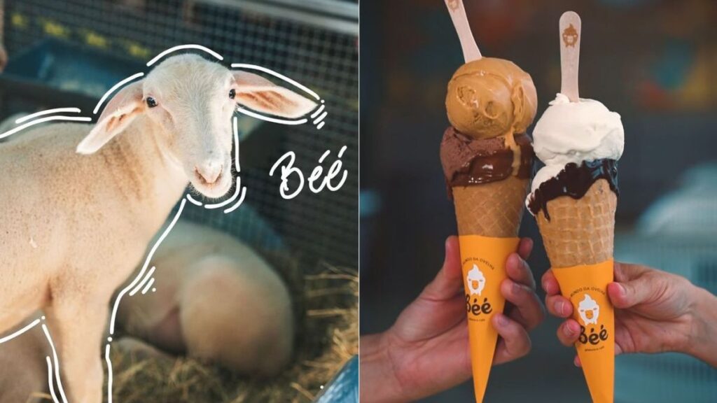 Gelateria Única no Mundo: Sabor Inigualável com Leite de Ovelha em SC