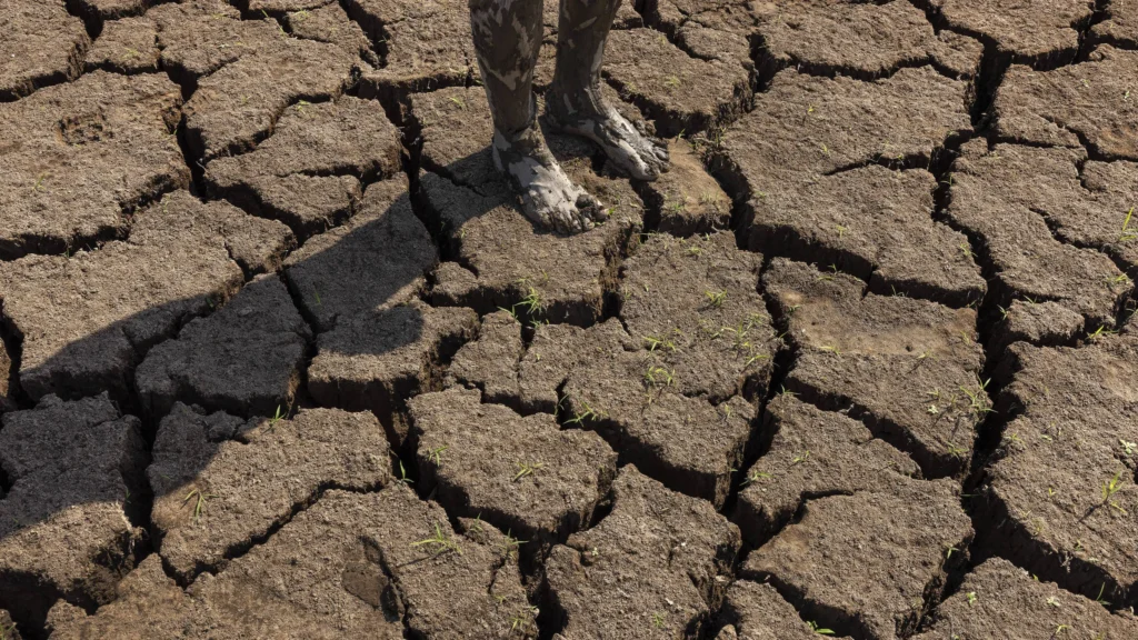 El Niño em 2024: Fenômeno climático confirmado e previsão de intensidade moderada a forte