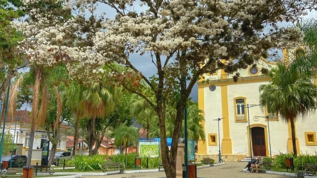Descubra São José do Barreiro: Uma das Melhores Vilas Turísticas do Mundo