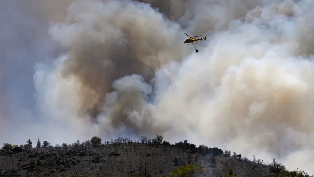 Incêndios na Europa Destroem Mais de 17 Mil Hectares em Meio a Calor Extremo