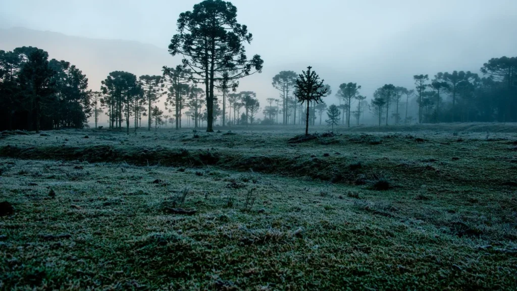 Clima no Brasil em Julho 2026: Mais Frio e Chuva Acima da Média Confirmados