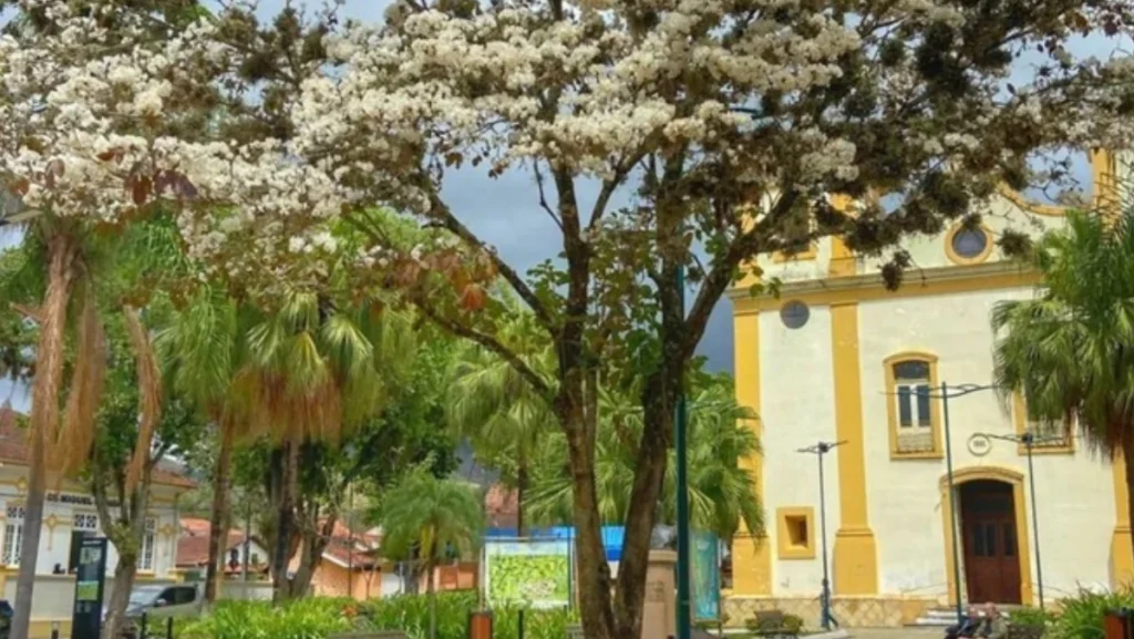 Conheça as Melhores Vilas Turísticas do Mundo: São José do Barreiro (SP) entre os Destinos Brasileiros em Destaque Conheça as Melhores Vilas Turísticas do Mundo: São José do Barreiro (SP) entre os Destinos Brasileir